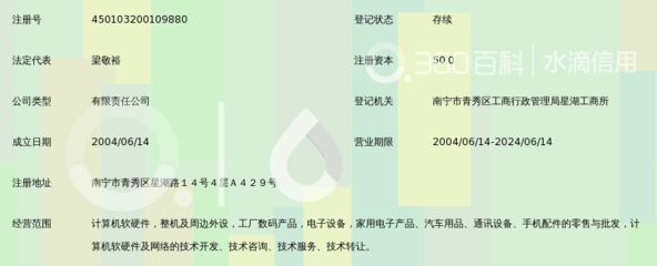 南宁市敬佳科技有限责任公司工商服务咨询指南 流程、要点与常见问题