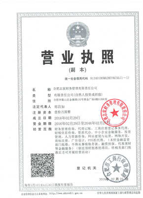 合肥志宸财务管理 一站式工商服务咨询，助力企业稳健发展